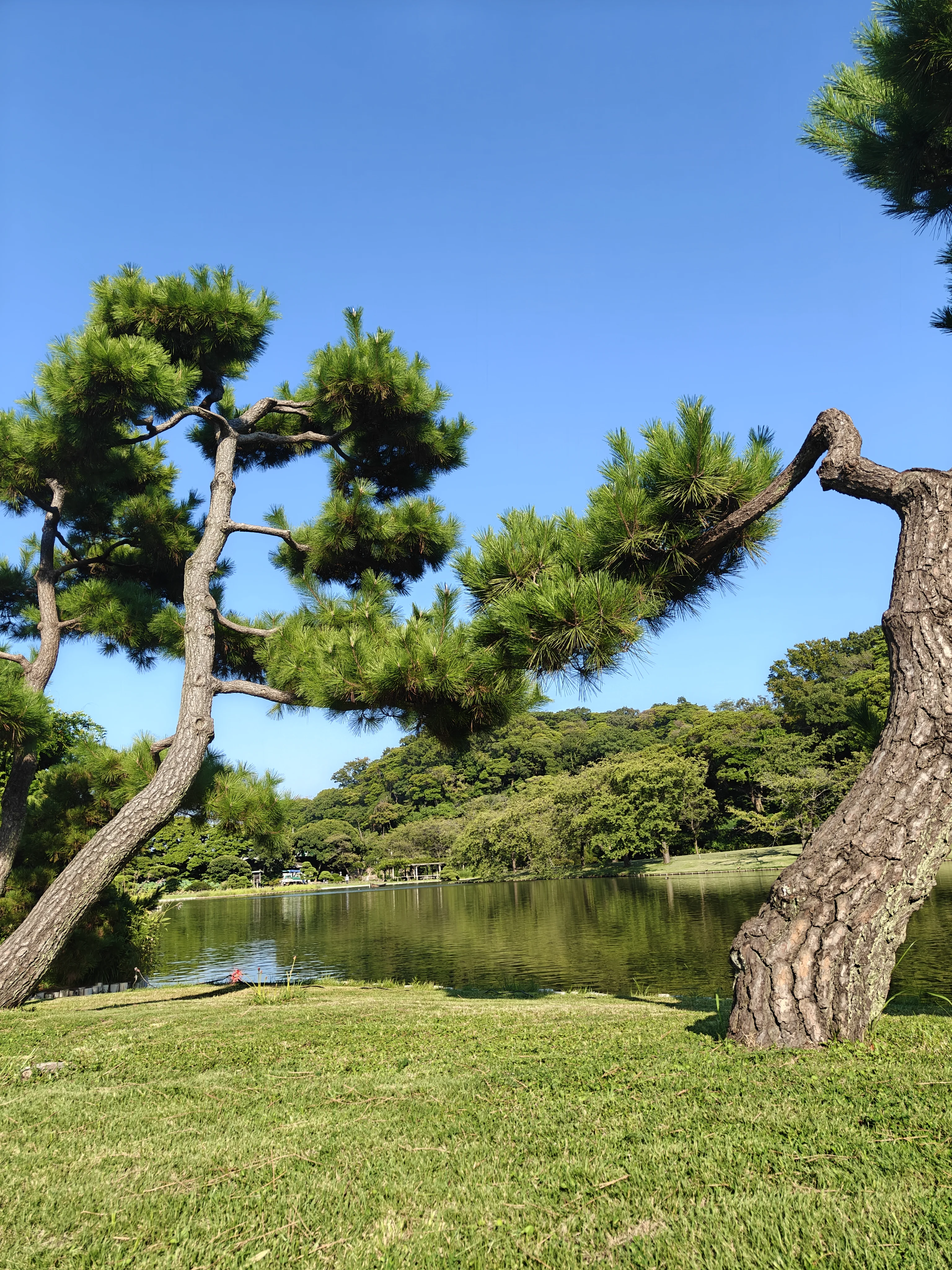 Sankeien Garden lake and nature