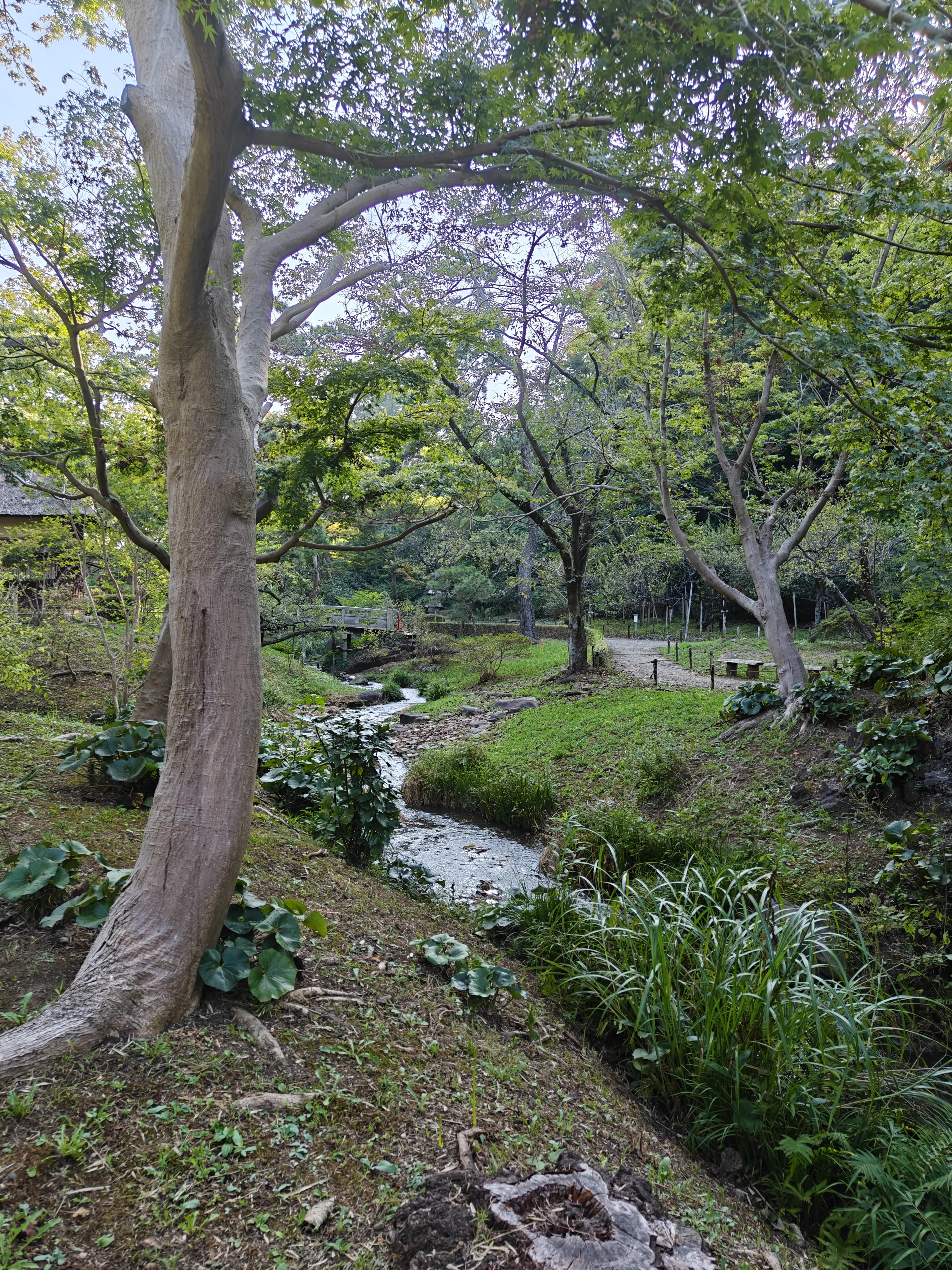 Sankeien Garden walking path