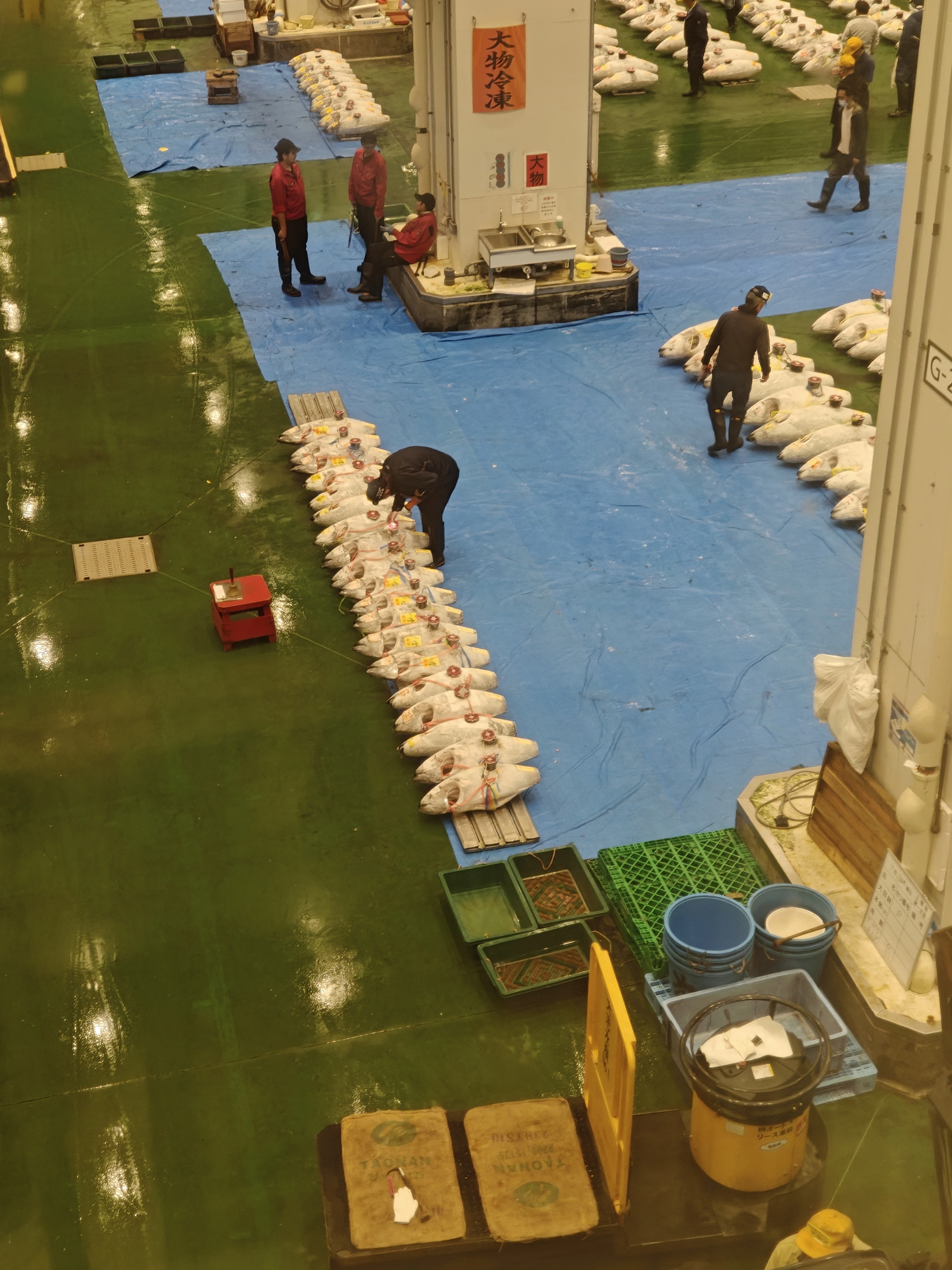 Sushi plate at Katsu Seibu in Shibuya