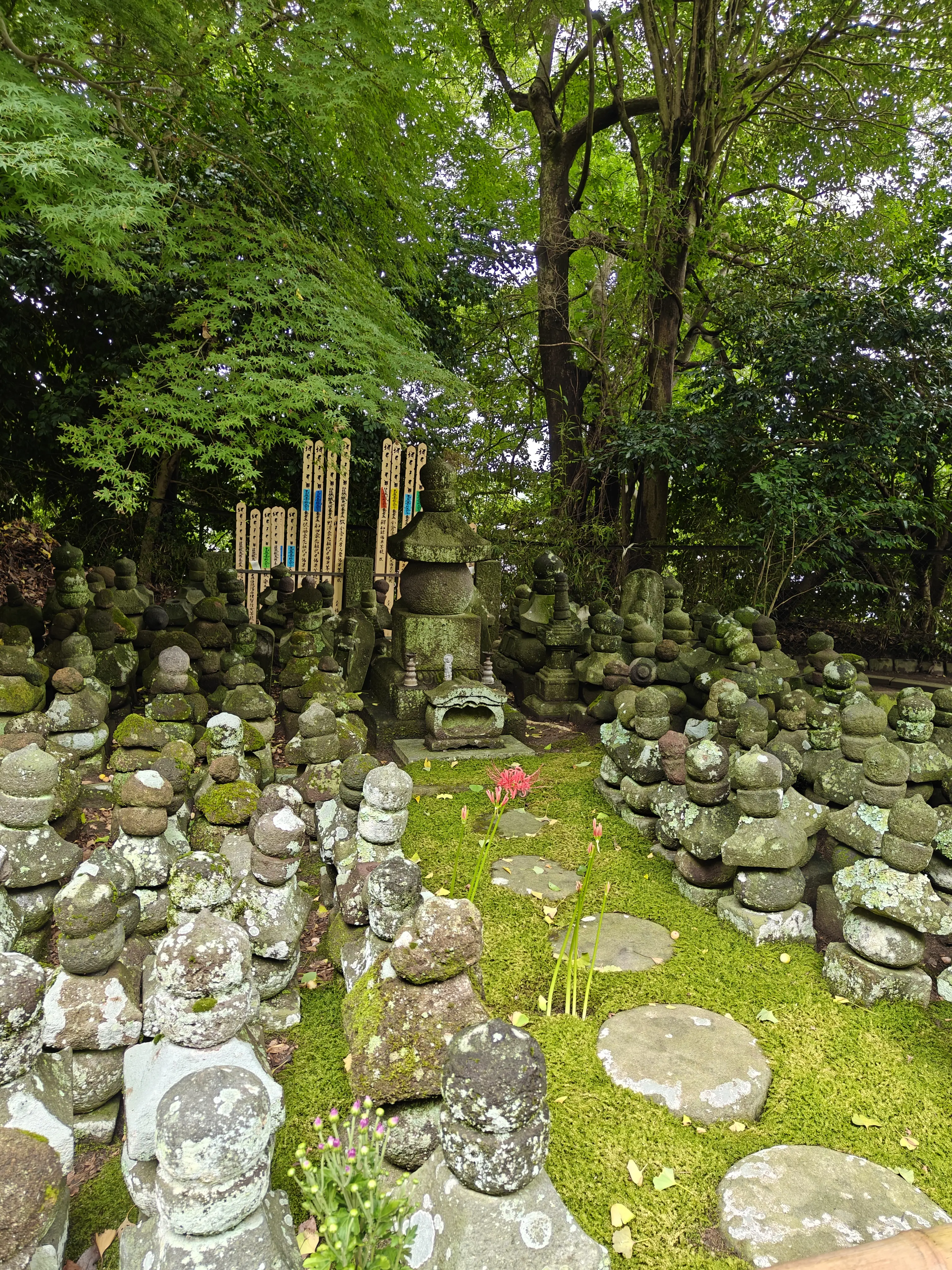 Small Buddha statues lined up at Sugimoto-dera