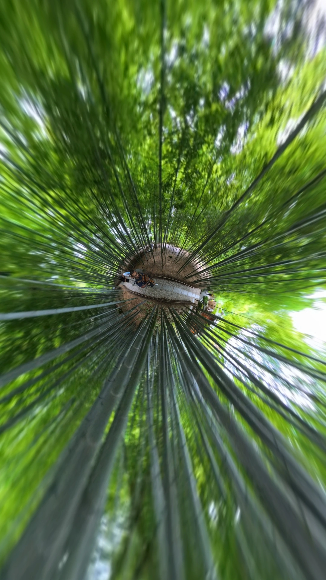 Sugimoto-dera temple grounds